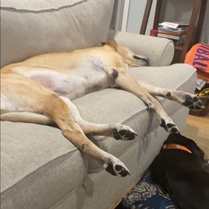 Meet your Posher, Mark